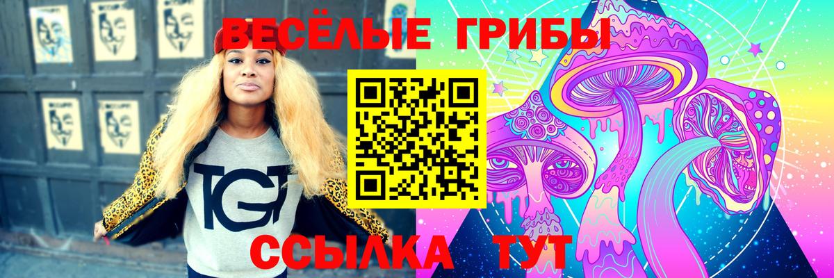 Галлюциногенные грибы Psilocybine cubensis  Вход с VPN  Тимашёвск 