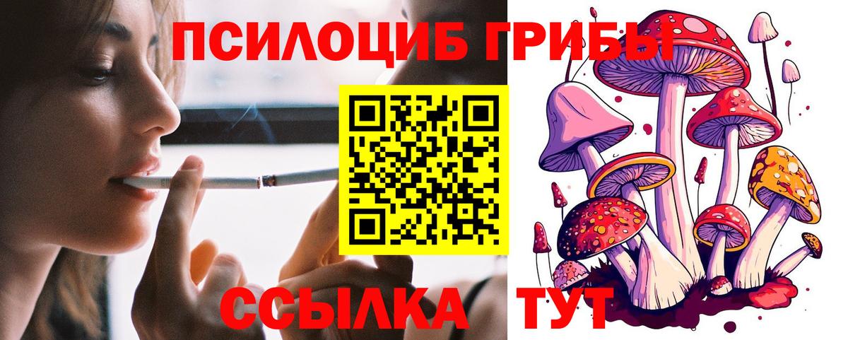 Псилоцибиновые грибы прущие грибы Тимашёвск
