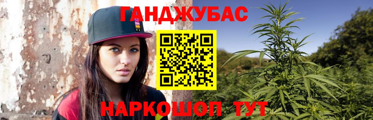 Каннабис Bruce Banner  Вход с VPN  Шишки марихуана гибрид  Тимашёвск  Бошки марихуана THC 21%  Конопля планчик 